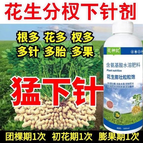 花生膨大粒粒饱多买多优惠