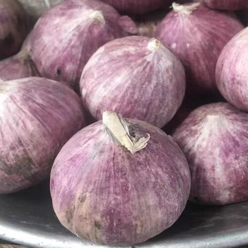 云南紫皮农家独头蒜圆蒜