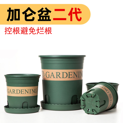 一加仑塑料花盆阳台种菜薄荷