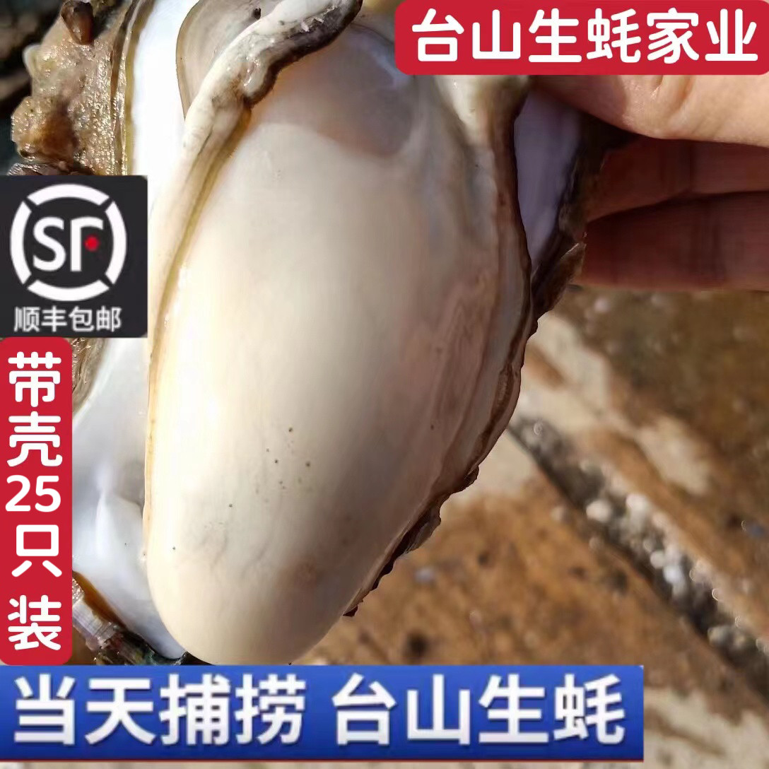 台山生蚝特大鲜活水产海鲜
