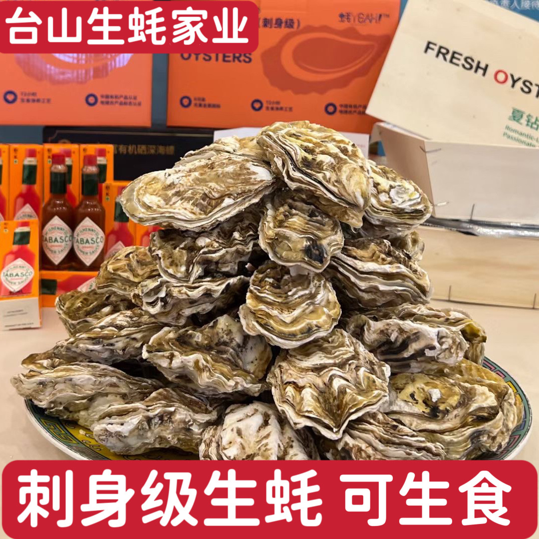12只台山刺身级带壳鲜活生蚝