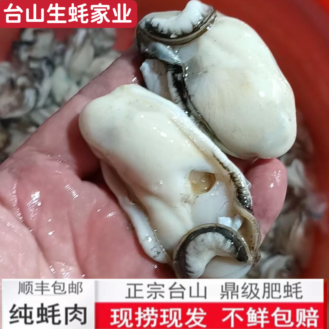台山生蚝肉去壳鲜活肥美海鲜