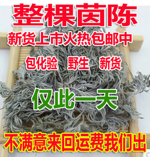 野生茵陈500g包邮 整颗棵绵茵陈茶散装棉茵陈白蒿新鲜干货茵陈草