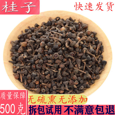 中药材桂子500克 肉桂子 桂丁新鲜干货 卤科香料大全  包邮