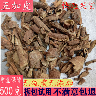 中药材 野生五加皮 香五加皮根 野生新鲜干货 散装500克包邮