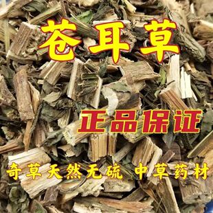 苍耳草野生中药材新鲜干货500g苍耳子叶茎草老胡苍子整棵牛虱子杆