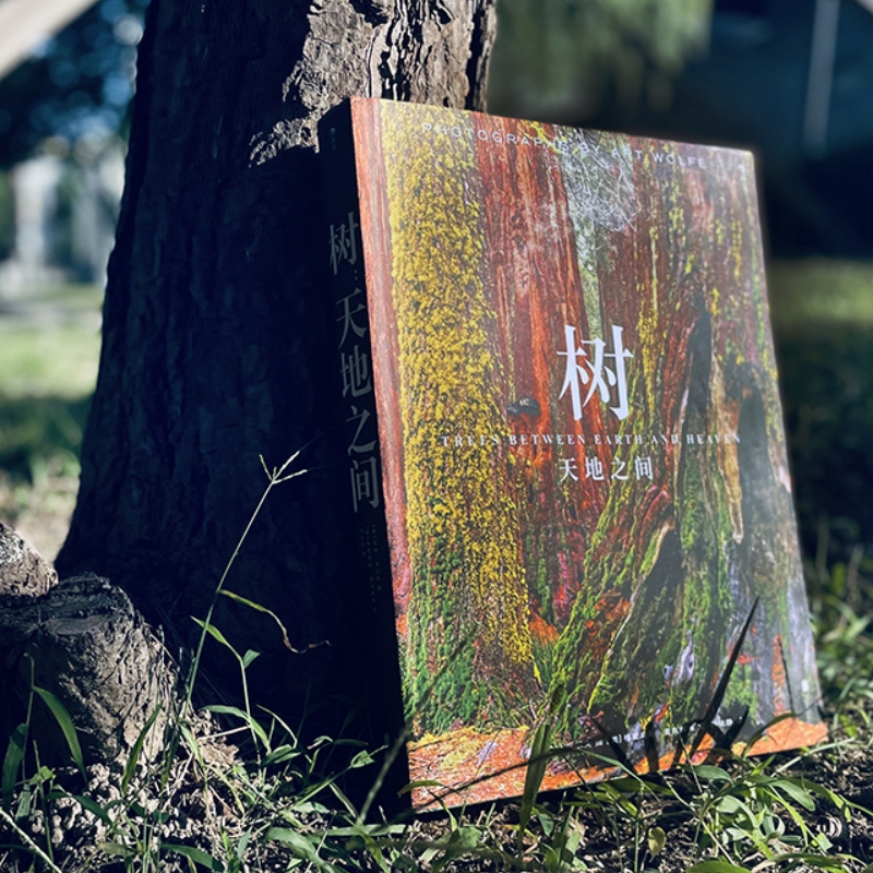 展现构图技艺呈现影集画册书籍