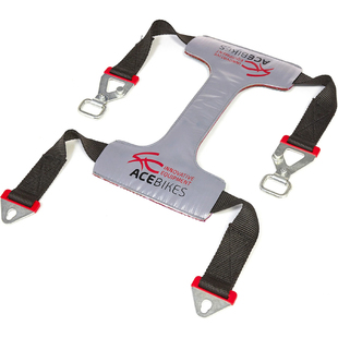 置 德国Acebikes固定带运输稳定带车轮固定装