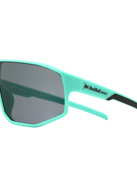 奥地利Red Bull Spect Eyewear太阳镜Dash户外骑行眼镜