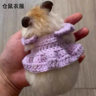 花枝鼠手工钩织小裙子仓鼠金丝熊蜜袋鼯小宠外出游玩四季专用