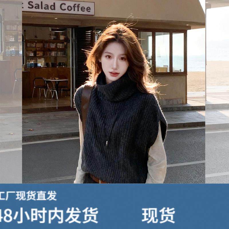 复古灰色高领针织马甲背心女秋冬2025款巨好看的外搭毛衣上衣,模玩/动漫/周边/娃圈三坑/桌游,Cosplay女装/cos女装,淘宝优惠券,粉丝福利购,淘宝优惠卷