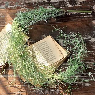 仿真空气凤梨 老人须松萝铁兰垂吊绿植室内装饰壁挂吊兰