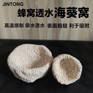 海葵窝 海葵屋 葵巢奶嘴地毯 固定防跑屋 蜂窝透水手工造景培菌石