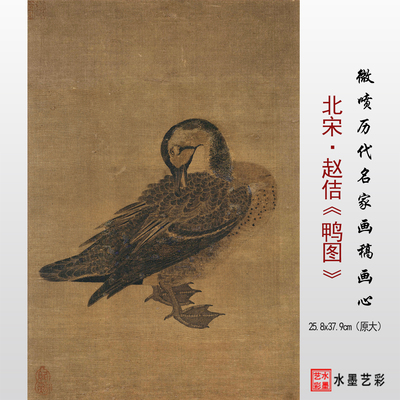 鸭图北宋赵佶临摹画稿底稿画心