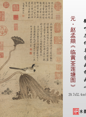 赵孟頫临黄荃莲塘图临摹画稿范本