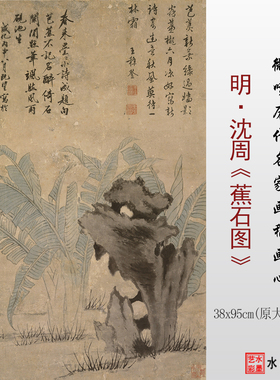 沈周蕉石图临摹画稿高清微喷