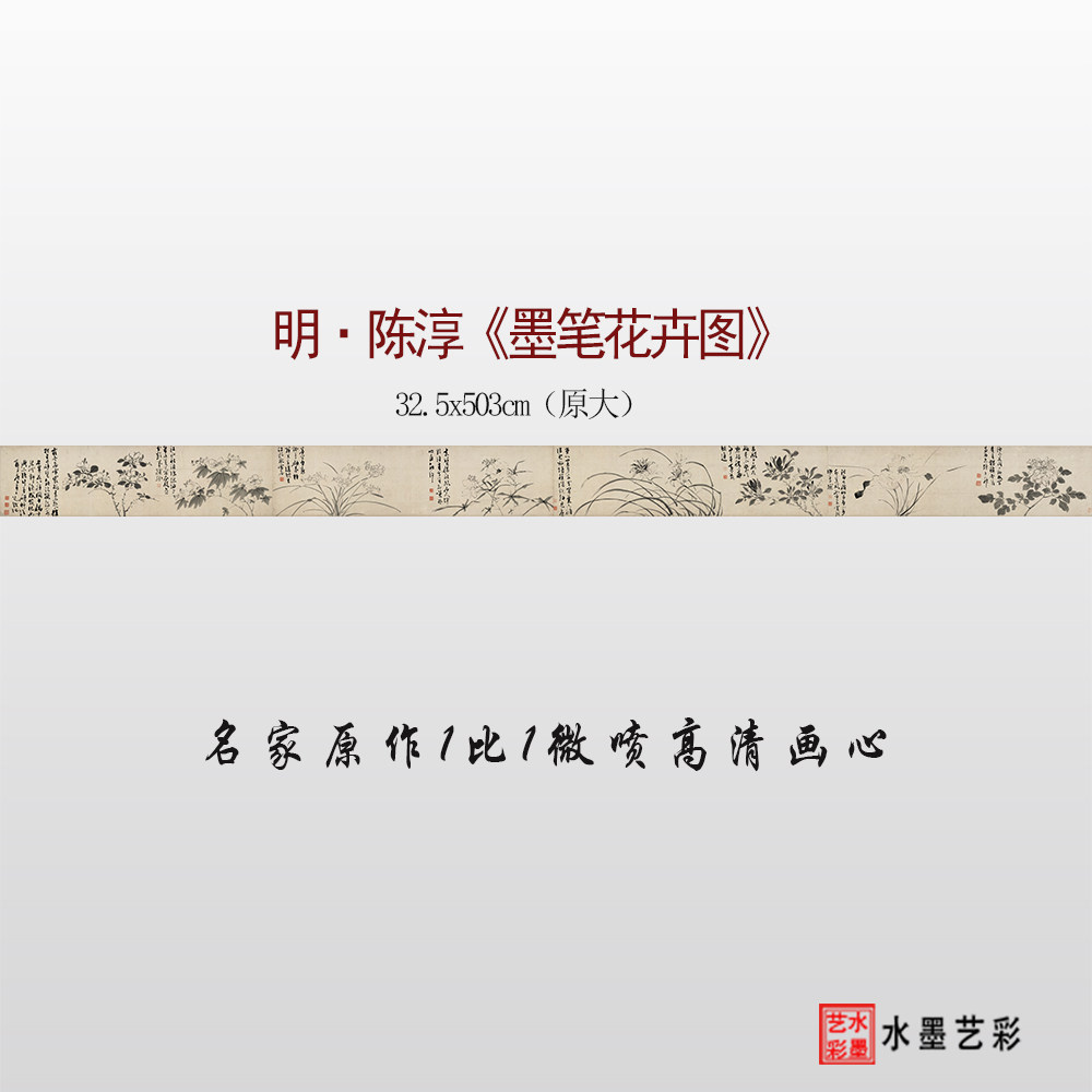 陈淳墨笔花卉图高清临摹画稿