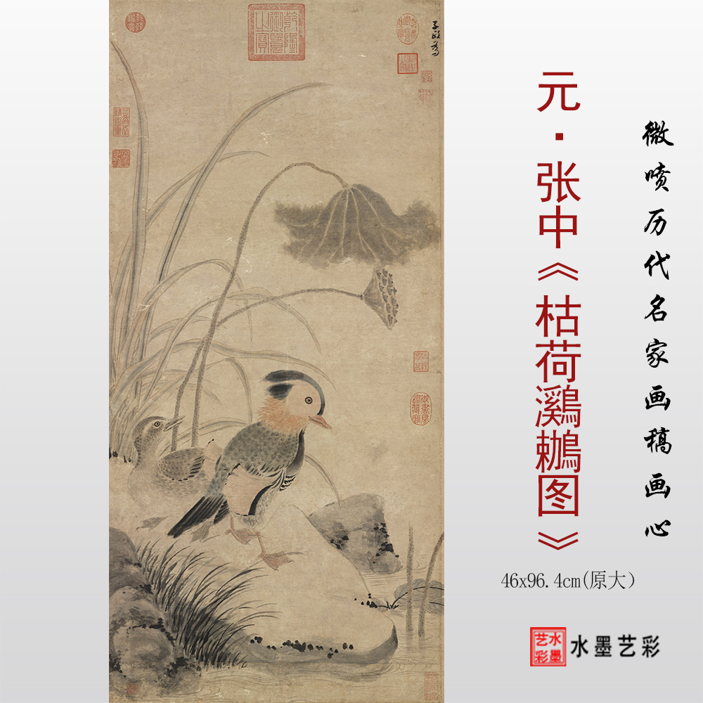 1:1元 张中枯荷鸂鶒图临摹画稿 微喷打印花鸟画临摹画稿底稿画心