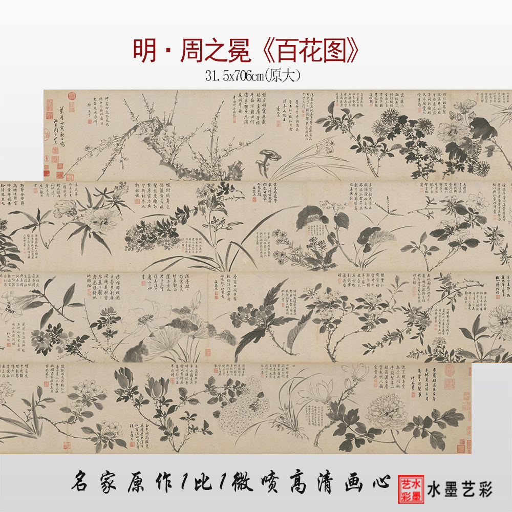 周之冕百花图高清微喷临摹画稿