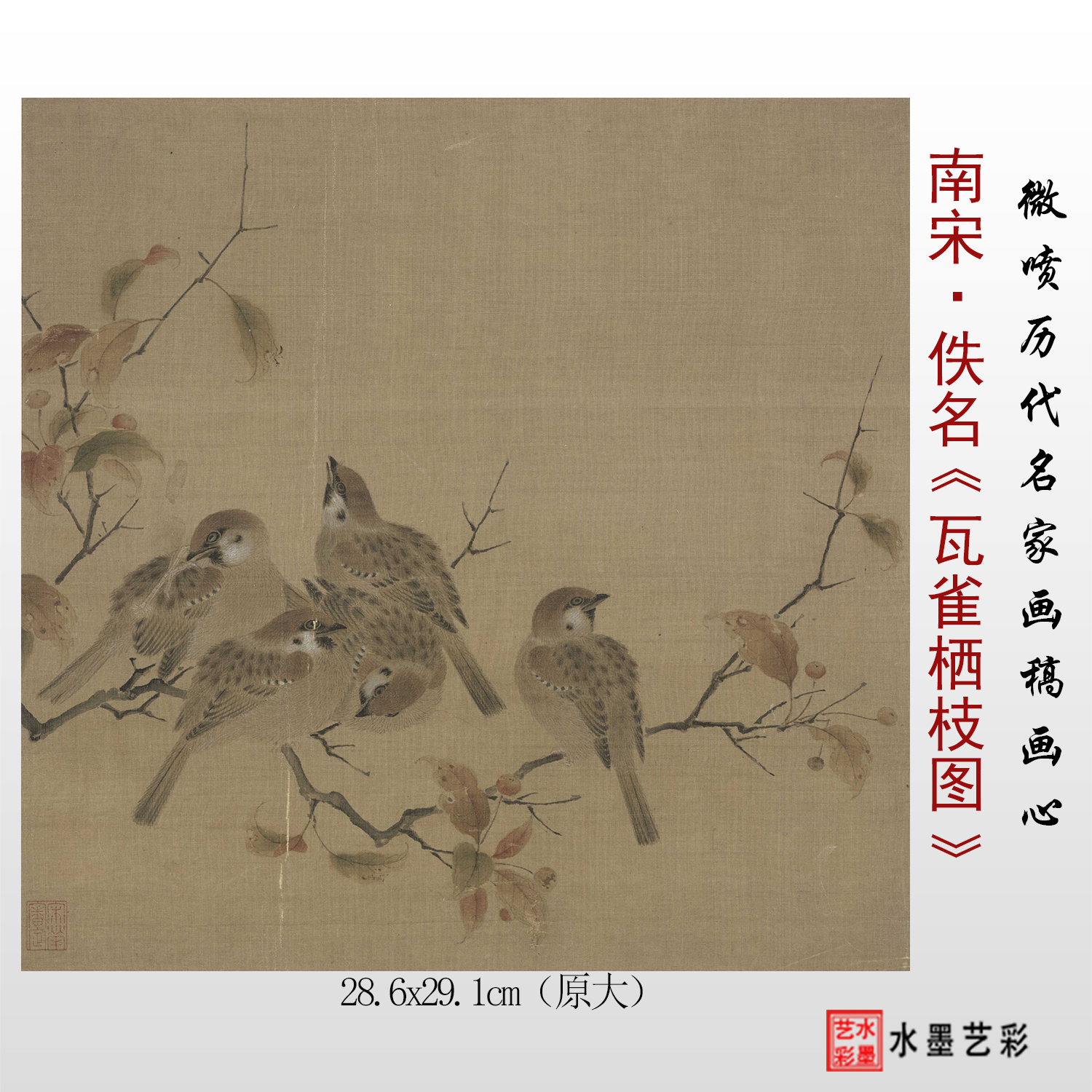 瓦雀栖枝图高清临摹斗方册页画稿