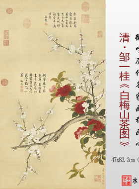 邹一桂白梅山茶图临摹画稿