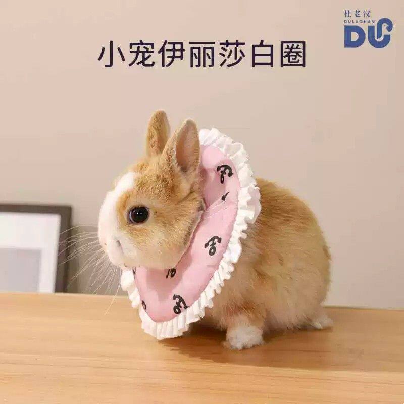 伊丽莎白圈兔子蜜袋鼯防舔防护圈荷兰猪仓鼠小宠头套项圈宠物用品