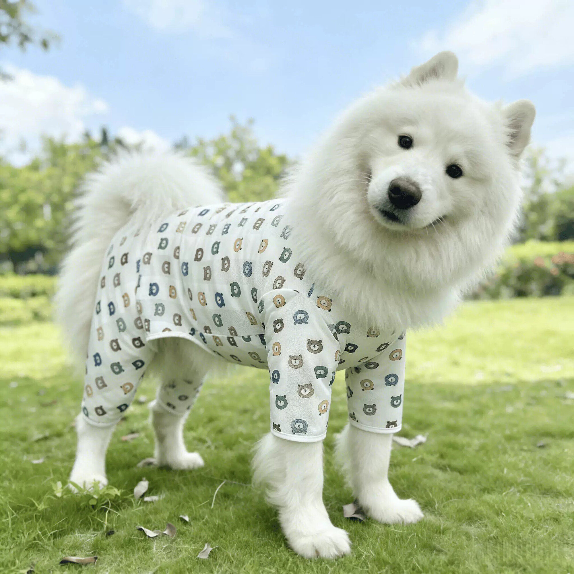狗狗衣服春夏薄款防掉毛网纱透气四脚衣中大型犬金毛萨摩耶家居服