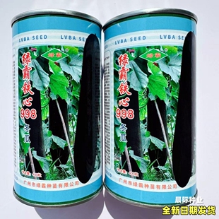 铁心998黑皮冬瓜种子杂交大冬瓜种籽肉厚心室小高产蔬菜