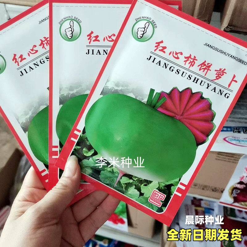 柿饼萝卜籽种子心里美萝卜种籽秋家庭园艺种子