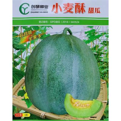 小麦酥甜瓜种子薄皮香瓜种籽青皮绿肉农家小菜园春秋季播水果种孑