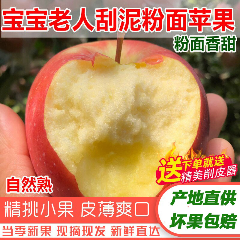 现摘当季粉面沙甜苹果宝宝刮果泥