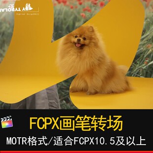 FCPX卡通画笔无缝转场过渡final cut pro笔刷效果插件特效预设m1