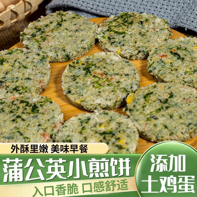 蒲公英煎饼速食面点半成品小菜