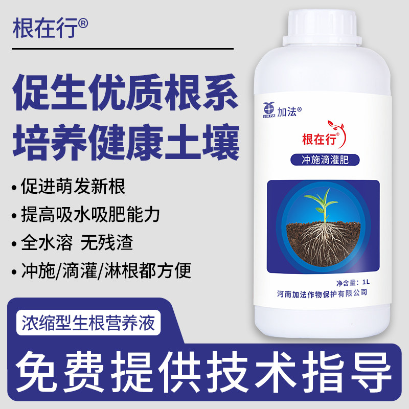 根在行浓缩型生根壮苗营养肥料 瓜果蔬菜园林生根液 促进植株健壮