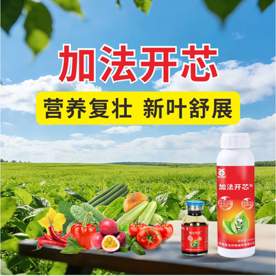 厂家直销加法开芯营养展叶肥改善辣椒瓜类烤烟等黄化卷叶花叶不长