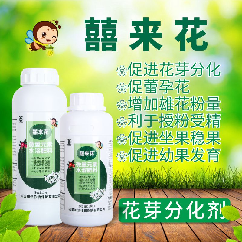 囍来花催花促果促授粉育果叶面肥