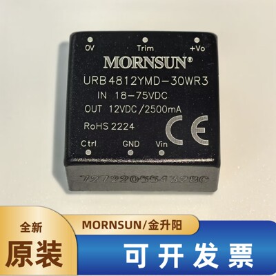 金升阳电源模块URB4812YMD-30WR3