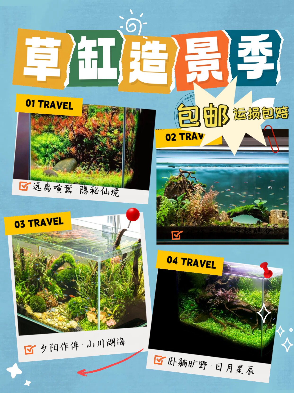 包邮鱼缸造景真水草青旦铁皇冠蜈蚣草绿九冠宫廷草蜈蚣草绿菊水榕