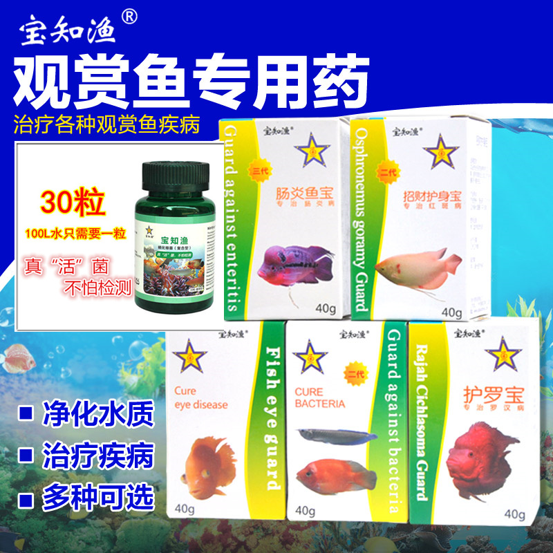 寶知漁 膠囊硝化細(xì)菌招財(cái)護(hù)身寶魚菌寶護(hù)眼寶腸炎寶頭洞寶除寄寶