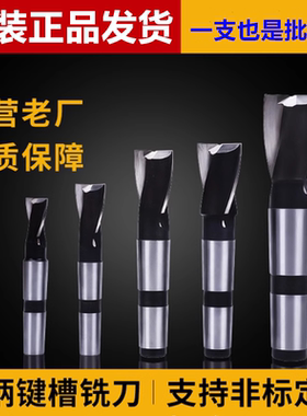 进口高速钢材质锥柄键槽铣刀  2刃14 16 18 20 22 24 25-63mm