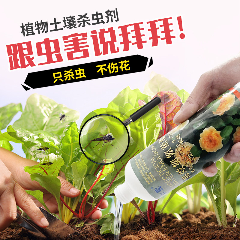 盆栽植物杀虫药多少钱 盆栽植物杀虫药优惠券免费领取 有条鱼