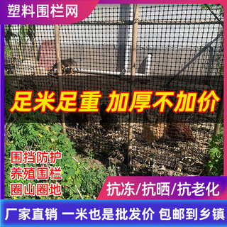 塑料网格防护网养殖菜园鱼塘拦鸡网子栅栏户外圈玉米网养鸡围栏网