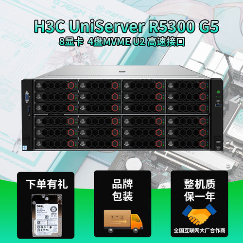 H3C R5300G5 8GPU显卡AI服务器RTX5090深度学习人工智能H100 A100