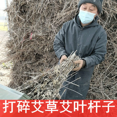 打碎整棵艾草杆子梗子泡脚泡澡