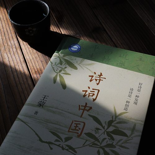 【王蒙新作】诗词中国 著名作家、原文化部部长、人民艺术家王蒙  古典诗词大师课  诗词鉴赏宝藏读本 带来诗学与美学的极致享受