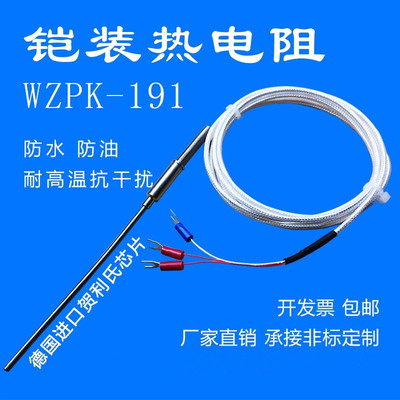 铠装PT100铂热电阻PT1000温度探头探针式温度传感器WZPK-191针型