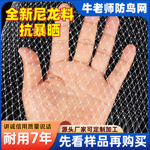 尼龙网果园牛老师防鸟网全新料