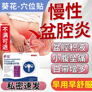 慢性盆腔炎热敷包盆腔积液中小腹坠疼痛理疗仪调理消偏方膏药贴gw