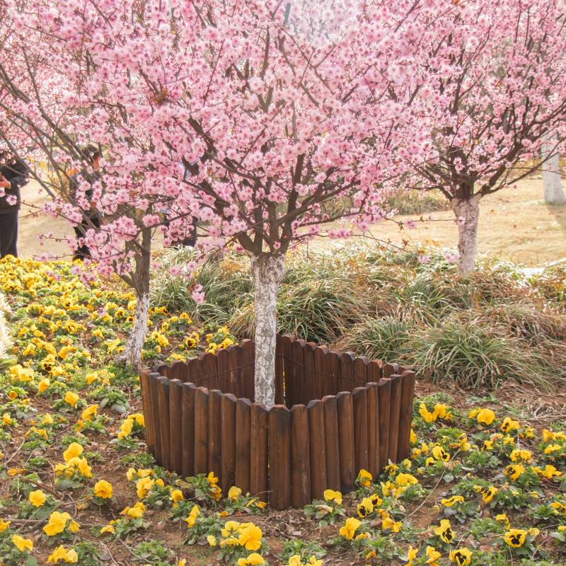 新品花园挡土板绿化隔离带收边条隔草带园林草石防腐木栅栏草坪分