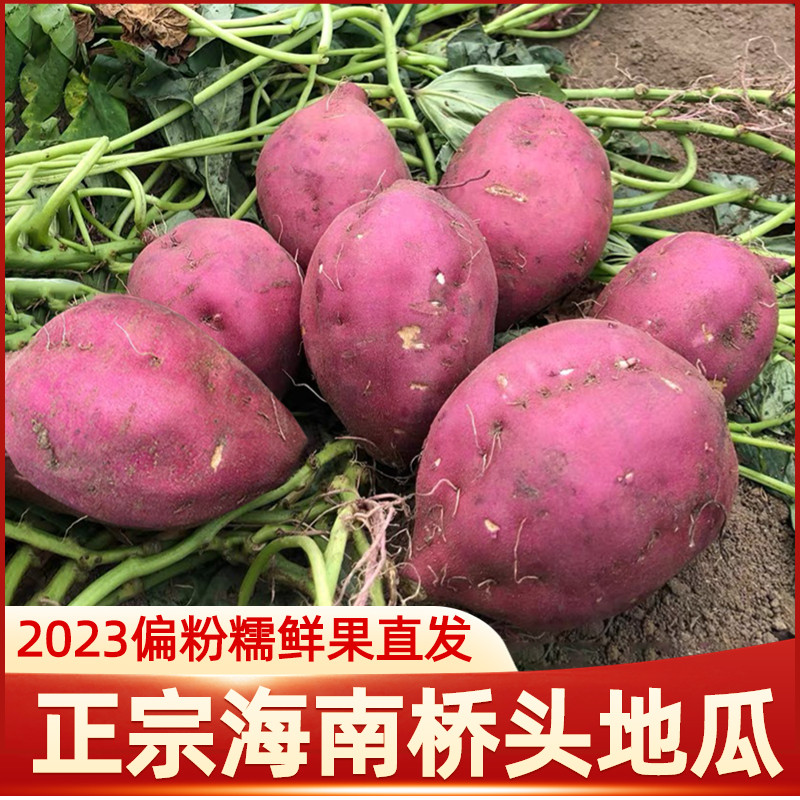 2023年偏粉海南澄迈沙地桥头富硒地瓜板栗味红薯新鲜现挖烤番薯